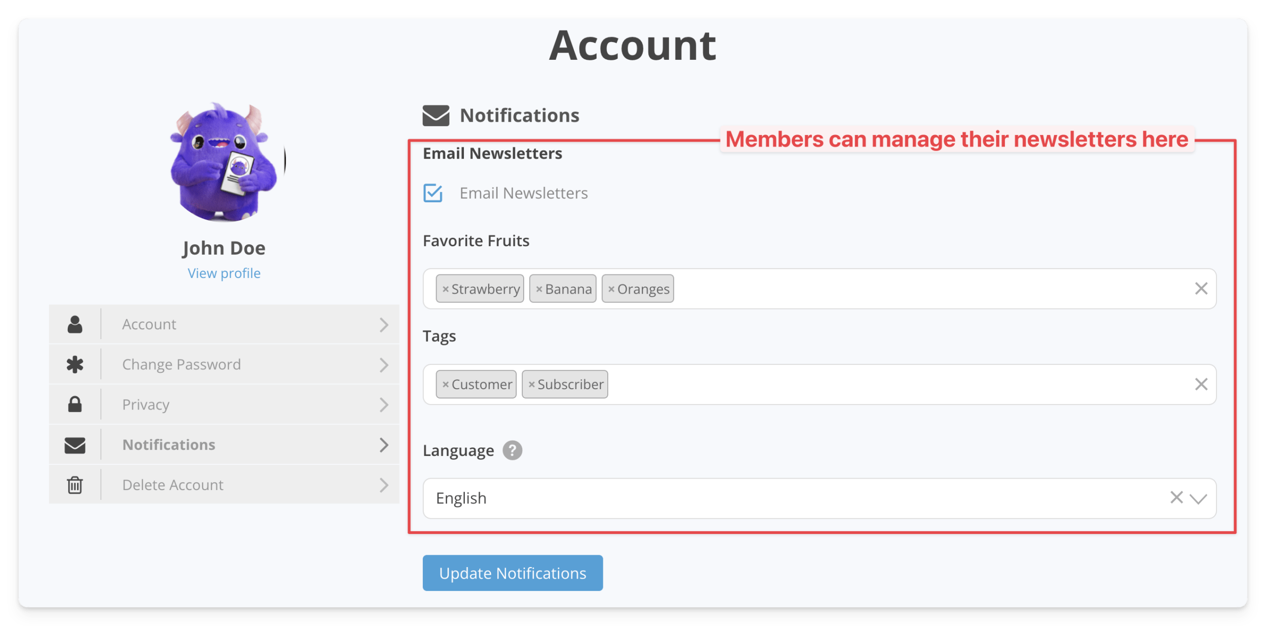 MailChimp WordPress plugin banner