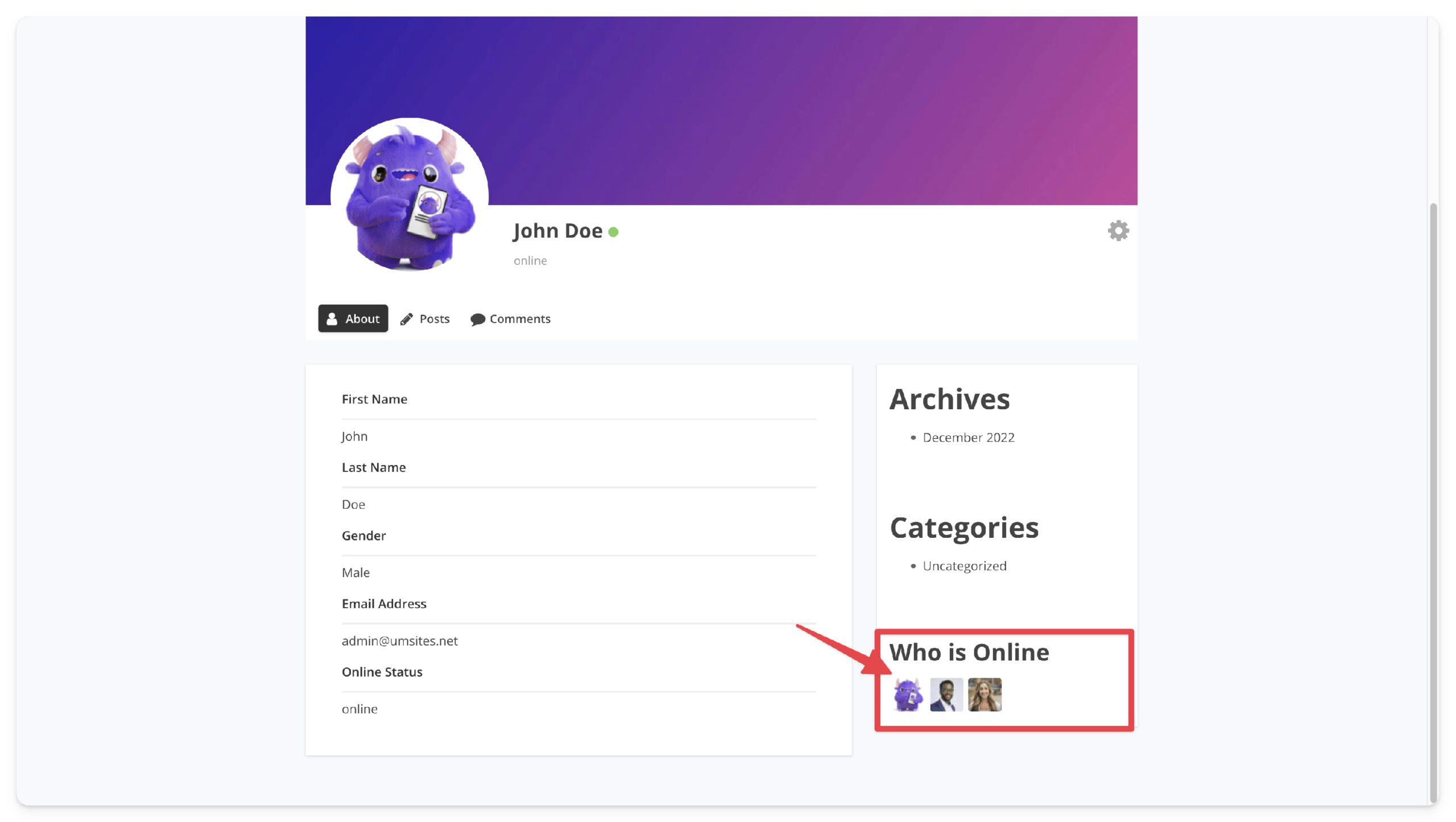 Online Users WordPress plugin banner