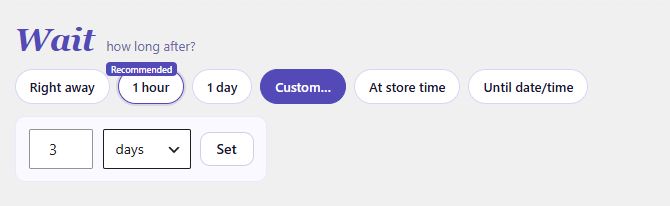 Setting a 3-day delay so the WooCommerce review request email sends after delivery.